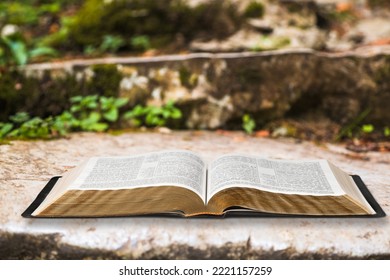 Holy Bible book outdoor on nature background