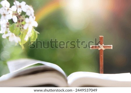 Holy Bible and cross of Jesus Christ on windy spring day with cherry blossoms and bright sunlight green forest background
