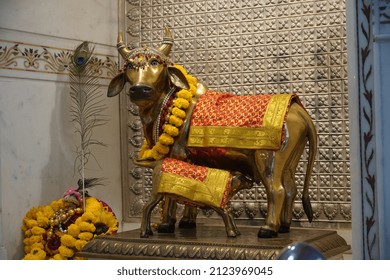 Holy Cow Statue At Gau Ghat In Delhi City In India