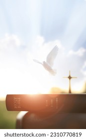 The Holy Cross of Jesus Christ, the Bible, the white dove, the bright light, the sunset and the sky
					