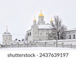 Holy Intercession Convent in winter