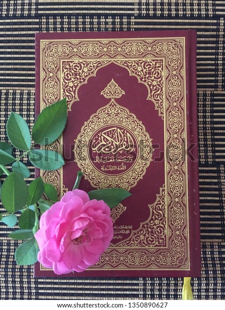 Holy Quran Book Beautiful Pink Rose Photo De Stock Modifiable