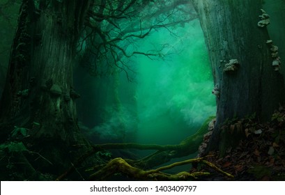 Holy smoke. Mysterious forest, fabulous blue background with holy atmospheric smoke, old trees, crooked branches. Digital backdrop. Thank you buyers 