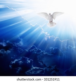 Holy spirit bird flies in blue sky, bright light shines from heaven, flying white dove