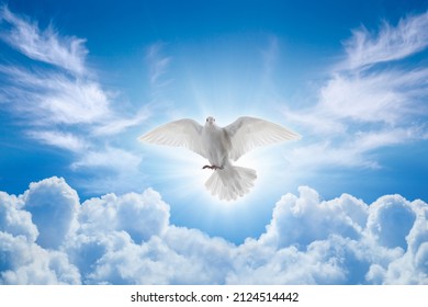 Holy Spirit Came Down Bodily Shape Stock Photo 2124514442 | Shutterstock