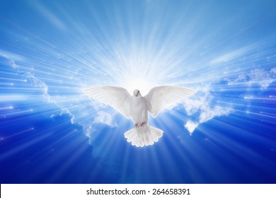 Holy spirit dove flies in blue sky, bright light shines from heaven, christian symbol, gospel story