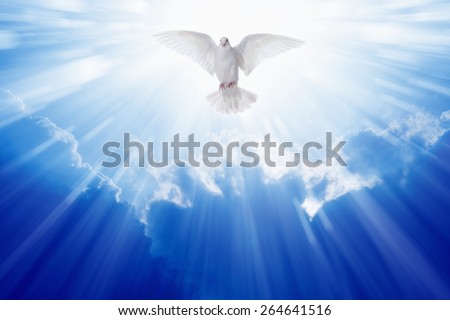 Holy spirit dove flies in blue sky, bright light shines from heaven, christian symbol