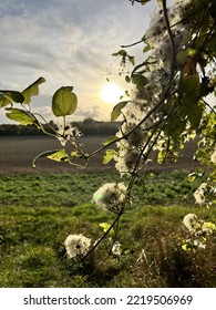 Holybourne - The Calm After The Storm