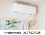 Home air conditioner and house plant in a bedroom.