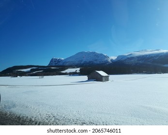 Home Alone In Moutains Snow