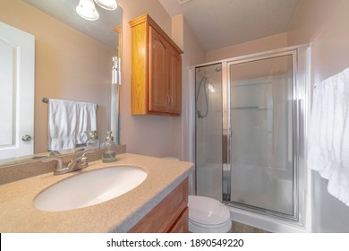 Home Bathroom Interior With Vanity Unit Toilet And Shower Stall With Glass Door