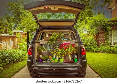 Home Before The Storm - Black Hatchback Vehicle With Rear Hatch Up Showing Back Full Of Flowers From Nursery To Plant - All Sitting In Driveway Of Brick Home Under Stormy Sky