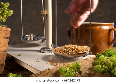 Home Brewing Of Beer. Man Weighs Barley. 