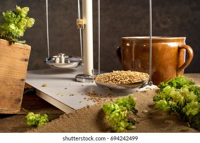 Home Brewing Of Beer. Man Weighs Barley. 