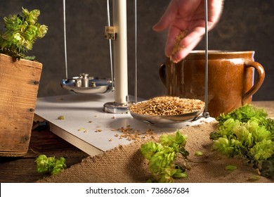 Home Brewing Of Beer. Man Weighs Barley. 