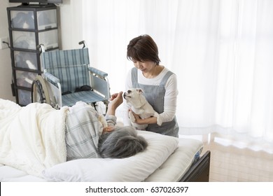 Home Care Assistance