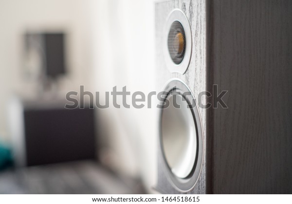 Home cinema bookshelf speaker hi-fi from side on\
view and focus on speaker