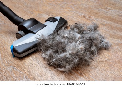 Home cleaning pet fur concept. Close-up of cleaning garbage, pet hair with a brush of an electric vacuum cleaner, top view