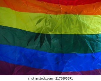 Home Cultivation Of Cannabis On The Background Of The LGBT Flag