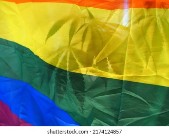 Home Cultivation Of Cannabis On The Background Of The LGBT Flag