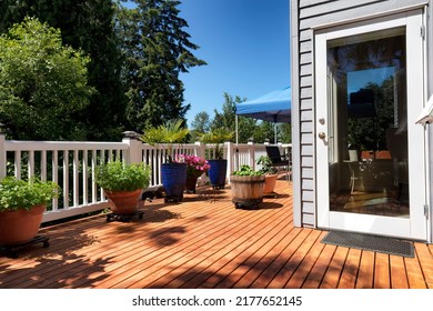 Home Deck Backyard With Garden And Plants In Pots During Summer Growing Season 