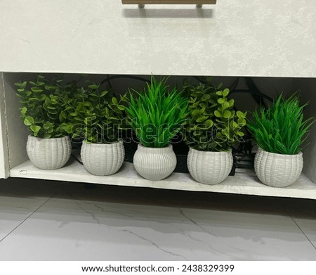 Home decor with artificial plants .beautiful pots with green grass.indoor plants. breakable pots.