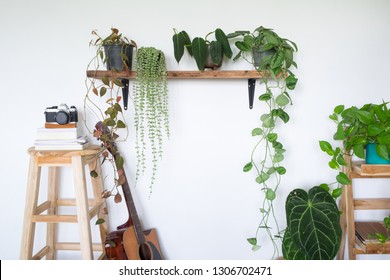 Home decoration with plants in hipster room - Shutterstock ID 1306702471