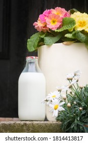 Home Delivery Of Fresh Milk On A Doorstep With Flower Pot