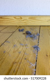 Home Dust On The Wooden Floor Under The Bed