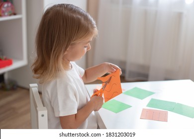 Home Education, Child Work With Scissors. Skills While Working On Fine Motor And Hand Eye Coordination.