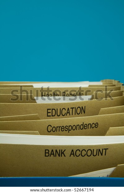 Home Filing Dividers for Taxes,Mortgage,Receipts\
and all Domestic finance