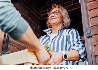 Home Fresh Food Delivery Woman Taking Stock Photo 2138469179 | Shutterstock