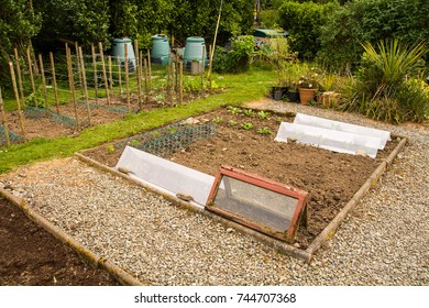 Home garden allotment - Shutterstock ID 744707368