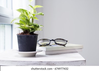 Home And Garden Decoration Of Golden Pothos In The Bedroom With Copy Space