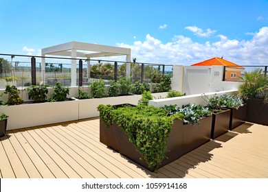 Home garden on an outdoor terrace, with planters to grow tomatoes, herbs, and other vegetables, with a raised deck.