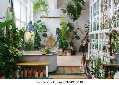 Home garden in retro style. Scandinavian interior design of winter indoor garden with houseplants. Old house orangery with potted tropic flowers, monstera, ceramic pots in boho. Greenhouse concept - Shutterstock ID 2164245419