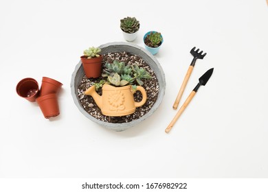 Home Gardening And Plant Arrangements Needs Basic Items And Tools Such As Chosen Plants, Potting Soil Mixture, Pot, Rake And Shovel. Top Aerial View And On White Background.