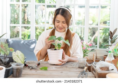 Home Gardening And Planting Tree At Botanic Garden For Sell Online. Asian Woman Relax And Lifestyle In Spring Season.