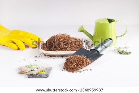 Home Gardening: Sowing vegetable seeds in cocopeat, soilless medium for home gardening with trowel, small watering can, seeds packet. Teaching gardening to kids.  