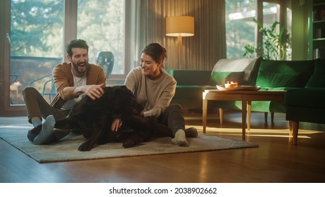 At Home: Happy Couple Play with Their Dog, Gorgeous Brown Labrador Retriever. Boyfriend and Girlfriend Tease, Pet and Scratch Super Happy Doggy, Have Fun in the Living Room - Powered by Shutterstock