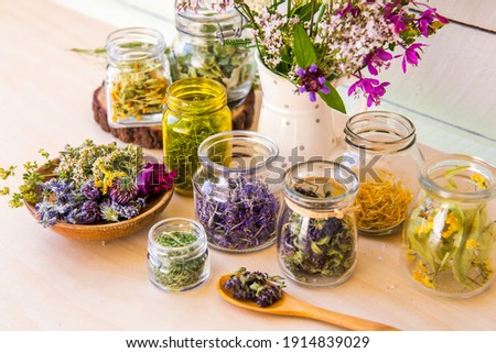 Home herbal apothecary concept. Lot of different dry herbal remedy plants( Chamaenerion angustifolium, Achillea millefolium, Tilia platyphyllos, Prunella vulgaris, Equisetum arvense in containers.

