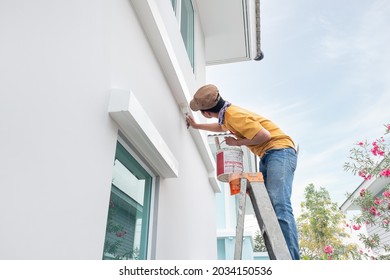 Home or house painting work consist of painter man or worker person and bristles brush, aluminium ladder, bucket to renovation, construction, improvement or repair at crown molding or cornice at wall. - Shutterstock ID 2034150536