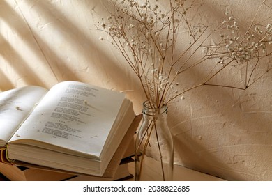 home improvement and decoration concept - still life of books and decorative dried baby's breath flowers in glass bottle over beige background with shadows