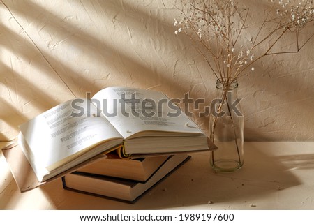 home improvement and decoration concept - still life of books and decorative dried baby's breath flowers in glass bottle over beige background with shadows