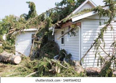 Home Insurance. Insurance. Storm Damage.Roof Damage From Tree. Hurricane Storm.A Storm Causes A White Tree To Fall And Rip Through The Roof Of A House. Tree Falls. Tree Down. Trees After Storm.