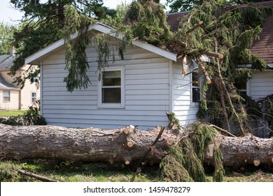 Home Insurance. Insurance Storm.Storm Damage.Roof Damage From Tree That Fell Over During Hurricane Storm.A Storm Causes A White Oak Tree To Fall And Rip Through The Roof Of A House. Tornado.Hurricane