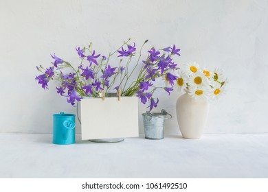 Home Interior And Garden Concept With Summer Flowers In A Metal Bucket On A Light Background