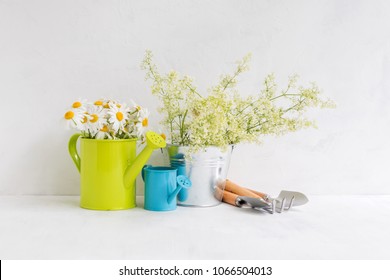 Home Interior And Garden Concept With Summer Flowers In A Metal Bucket On A Light Background