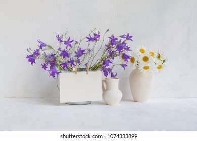 Home Interior And Garden Concept With Summer Flowers In A Metal Bucket On A Light Background