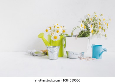 Home Interior And Garden Concept With Summer Flowers In A Metal Bucket On A Light Background